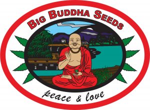 BigBuddhaSeeds_Logo