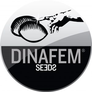 Dinafem-Logo