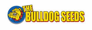 bulldog-logo
